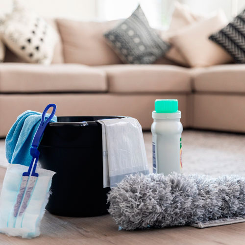 Professional deep cleaning team